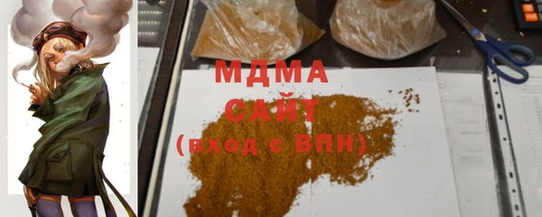 индика Абаза