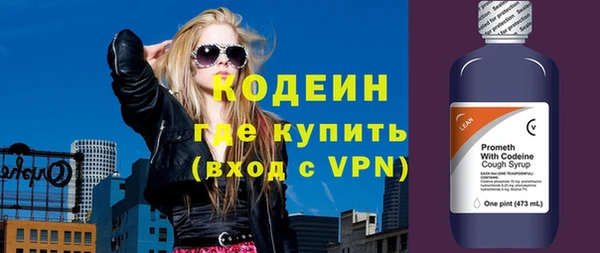 индика Абаза