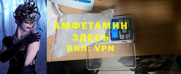 индика Абаза