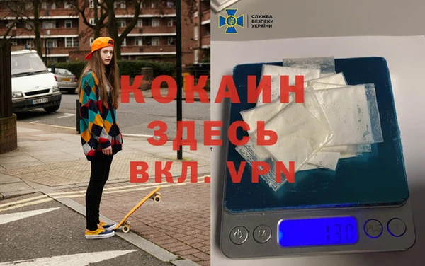 индика Абаза