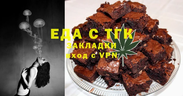 индика Абаза