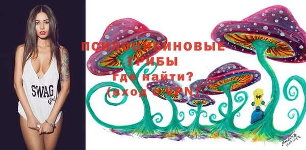 ПСИЛОЦИБИНОВЫЕ ГРИБЫ Алексеевка