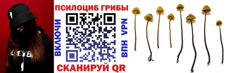 наркотики  Кирс  MEGA ссылки  Псилоцибиновые грибы MAGIC MUSHROOMS 
